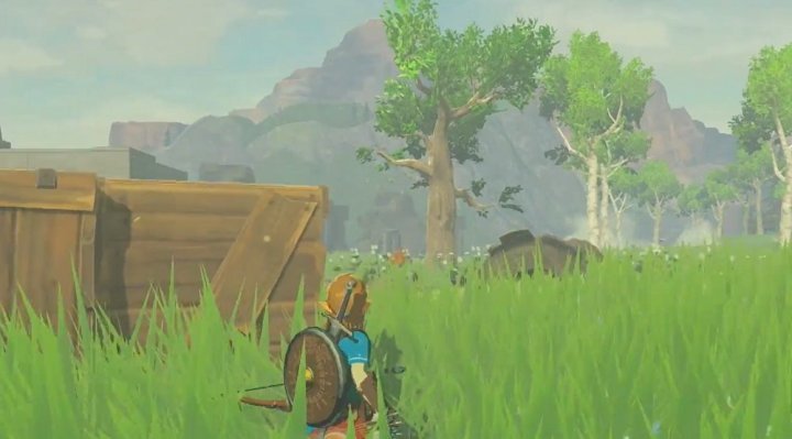 The Legend of Zelda Breath of the Wild