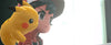 Pokemon Let's Go Eevee!