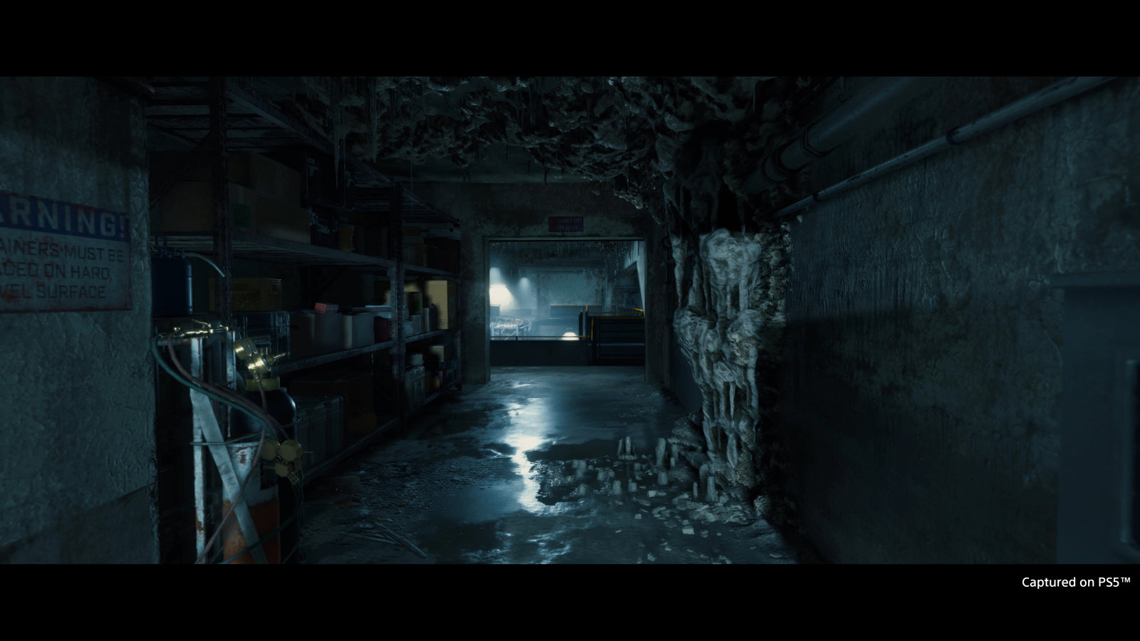 Death Stranding Director’s Cut