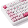 Akko Prunus Lannesiana TAC87 TKL Stellar Rose Hot-Swappable Wireless Mechanical Keyboard