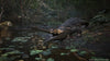 Metal Gear Solid Delta Snake Eater Deluxe Edition