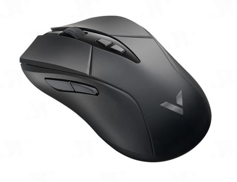 Rapoo V300SE Wired/Wireless Gaming Mouse (Black) (PC)