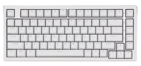 Hexgears M2 TKL Linear Switch Mechanical Keyboard - White