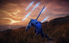 Elden Ring Nightreign Seekers Edition