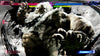 Street Fighter 6 Years 1-2 Fighters Edition