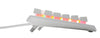 Steelseries Apex 3 TKL Gaming Keyboard (US) - White