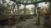 Hogwarts Legacy (code in box)