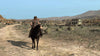 Red Dead Redemption (code in box)